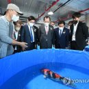 골든아쿠아펫 이미지