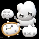 시티패스