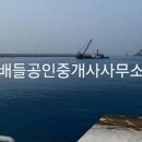 연도항