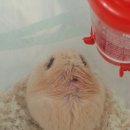 구서동물병원 이미지