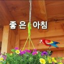 굴축제 이미지