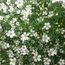 명성실업 이미지