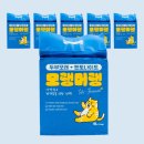 주식회사 펫원 이미지