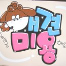 예쁜 애견 미용 이미지