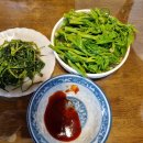 새순농장 이미지