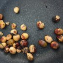 정종농장 이미지