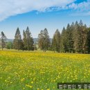 법률사무소중랑 | 개인회생변호사 법무법인 빛 중랑분사무소 다양한 선택지와 솔루션 설명