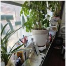 하나안마원 이미지