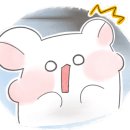 토박이민물매운탕 이미지