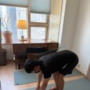 요가와 명상 2 | 공덕요가개인레슨 후기 : 자애요가&amp;명상 2번째 레슨