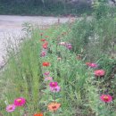 남철농장 이미지