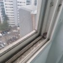 체스어디까지해봤니? | 인천이사청소, 어디까지 해봤니? 믿고 맡기는 <클린업>의 꼼꼼한 서비스