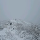 고헌산상회 이미지