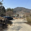 남해-152 | 남해 독일마을 카페 추천 여유로운 분위기의 남해의숲