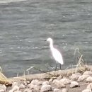 남순천의원 이미지