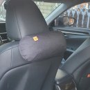 모소대나무 | [웰존] 차량용 대나무숯 탈취제 사용 후기 🚗🌿