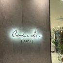 [W 15] 부산 코코드브라이덜 본식드레스 셀렉후기 / 실크드레스 추가금
