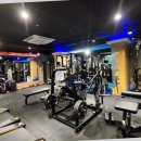 지니 pt샵 이미지