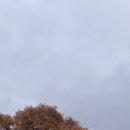 오수물막국수 이미지