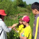 충암초등학교 이미지