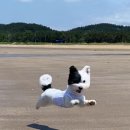 영이언니네 이미지