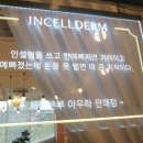 인셀덤송도점