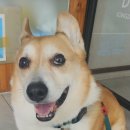 송담동물병원 이미지