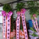 김포고정낚시터
