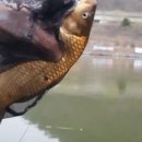 우성낚시터 이미지