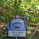 Sh수협은행 MBN 여자오픈 골프갤러리 직관 후기(가기전에 꼭 읽어보고 가세요)