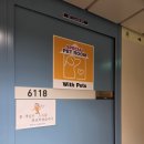 완도2호선 | 완도 -> 제주 방면 실버클라우드호 탑승 후기 (feat. 중-대형견 동반)