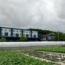 일영펜션 이미지