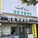 원흥동물의료센터 이미지