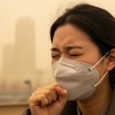 새코리아나모텔 이미지