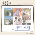 인제주여행사 이미지