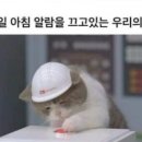 마왕족발 이미지