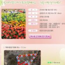 내동 진입로 이미지