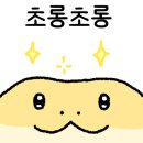 파충류샵 스마일게코 이미지