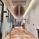 알바트로스골프장 | 경북 김천 포도CC 새벽라운딩 후기｜평탄한 코스·해저드 많은 골프장 실제 경험