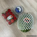 윤자농장 | 콩순이 아이스바 농장-아이랑 수제 아이스크림 만들기