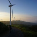 백두그린 이미지