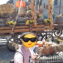 호박게임장 이미지