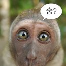 복호두김포 - 김포시 양도로 25 | 복호두김포
