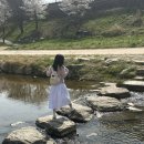 제민천1길 이미지