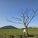 유채꽃 피는 4월에 제주강의갔다가 제주여행 풍경스케치 전합니다 이미지