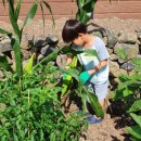 협재살이 이미지