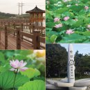 01-34 동구 이미지