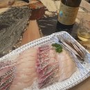 그리올라 이미지