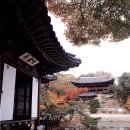 종로-종로-종로-종-122 이미지