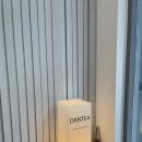 단티(DANTEA)